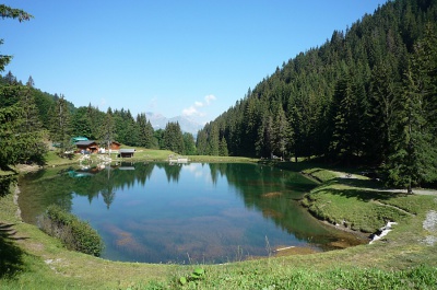 Lac de montagne en été, Les Saisies, Savoie, Alpes françaises