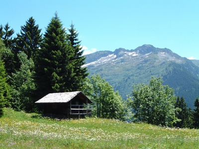Vacances dans les Alpes - agence du Grand Mont