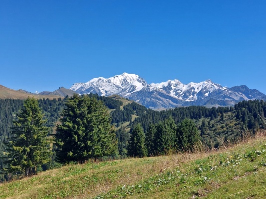 Grille tarifaire été 2025