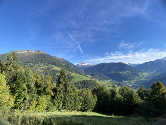 Soutenez les forêts du Beaufortain avec SYLV'ACCTES