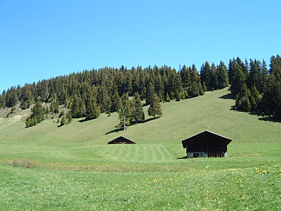 Location Les Saisies été 2014