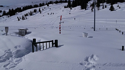 Ca skie aux Saisies ! Détails des ouvertures Alpin & Nordique