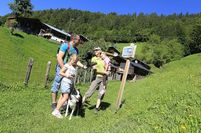 Ballade aux Saisies en été