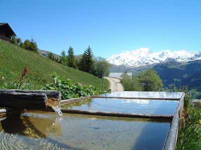 La location de vacances aux Saisies avec l'agence du Grand Mont