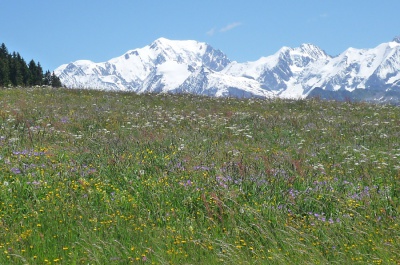 Management environnemental de l'immobilier de montagne