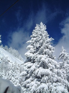 Tourisme de montagne avec Agence du Grand Mont